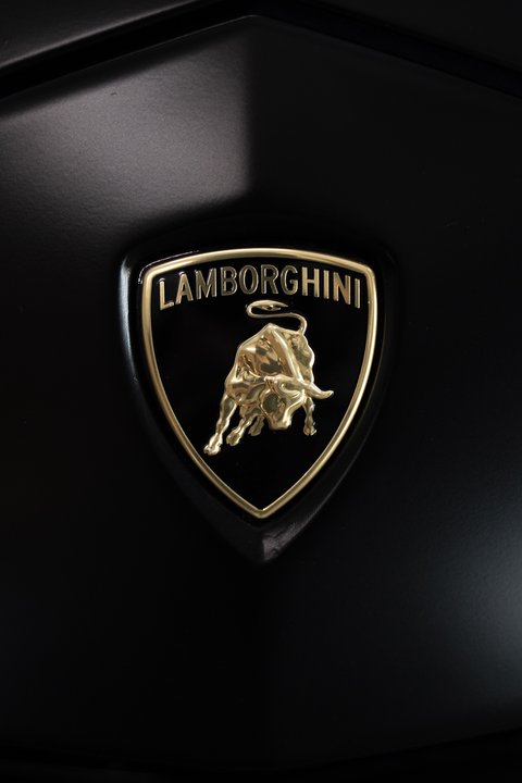 Lamborghini badge in satin black on the hood of an Urus